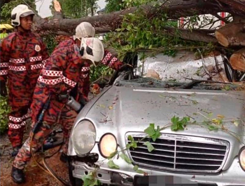 Man killed after tree falls on car in Klang