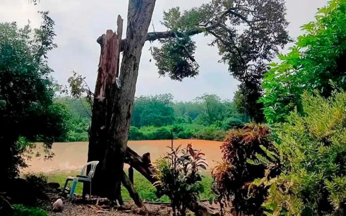 Man nearly struck to death by lightning while closing car door