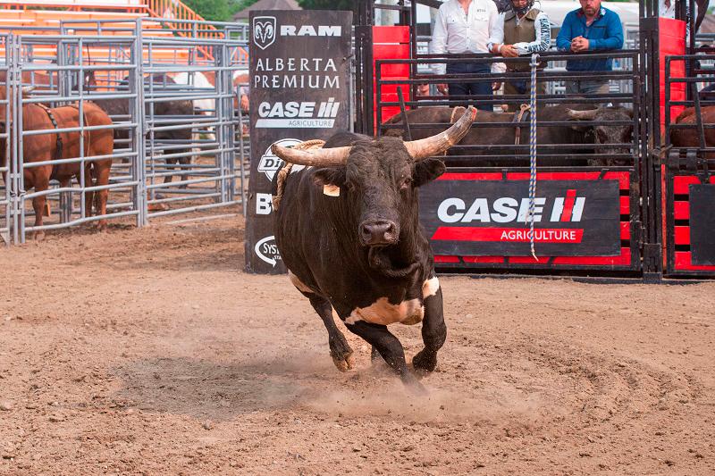 Mexico City, home to world’s biggest bullring, bans killing bulls Mexico City, home to world’s biggest bullring, bans killing bulls