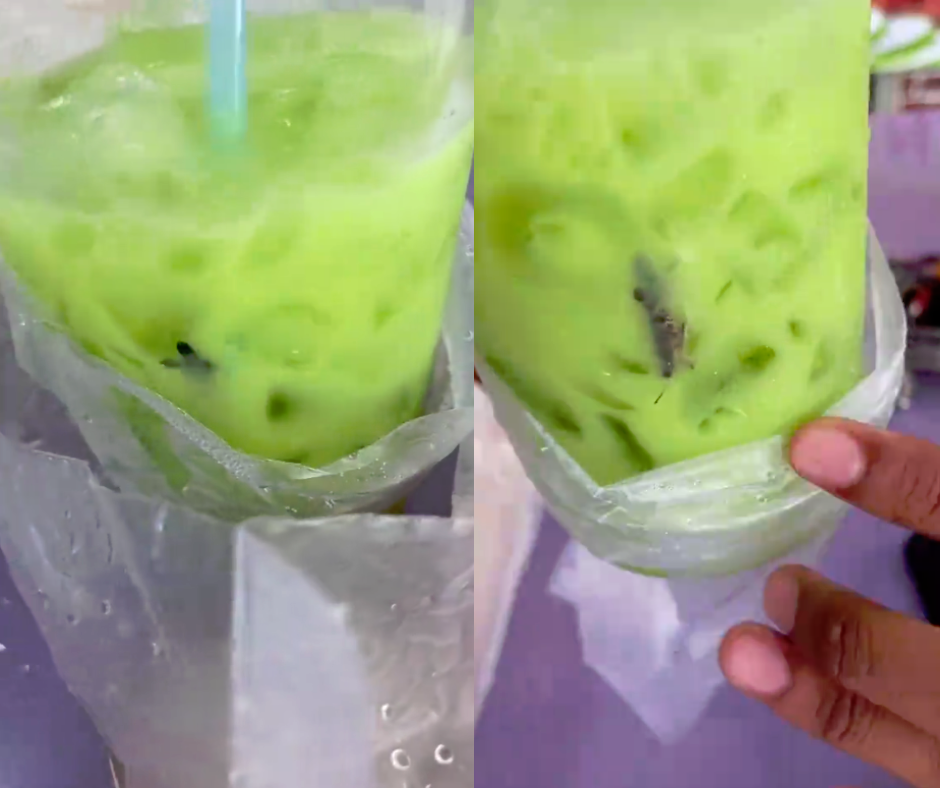M'sian man discovers grasshopper while sipping green tea, netizens joke about the 'extra flavour' M'sian man discovers grasshopper while sipping green tea, netizens joke about the 'extra flavour'