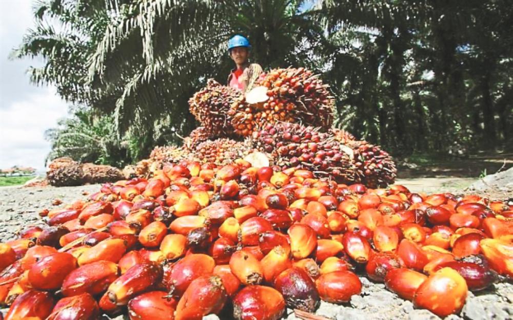 M’sian palm oil stocks rise in March after six months of falls