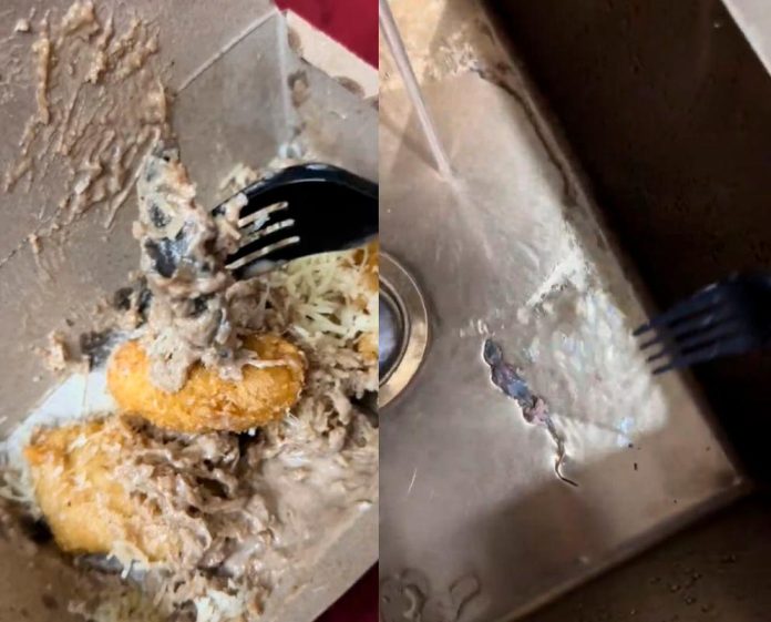 M’sian woman finds cicak goreng in pisang goreng tiramisu from Penang stall M’sian woman finds cicak goreng in pisang goreng tiramisu from Penang stall