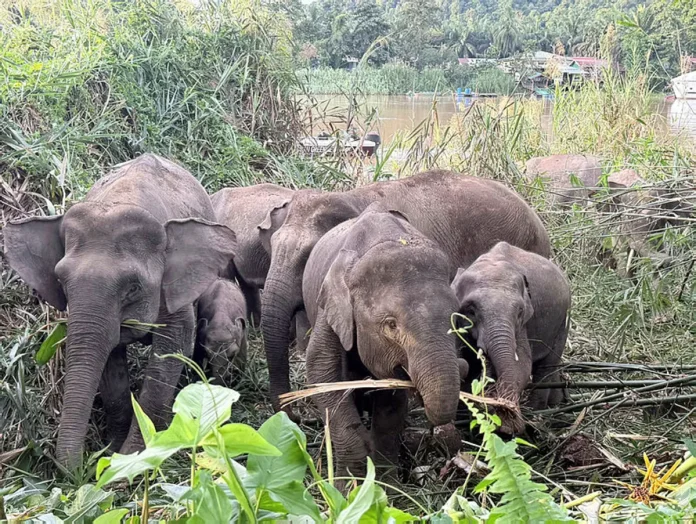 NRES commits to economic growth and environmental conservation NRES commits to economic growth and environmental conservation