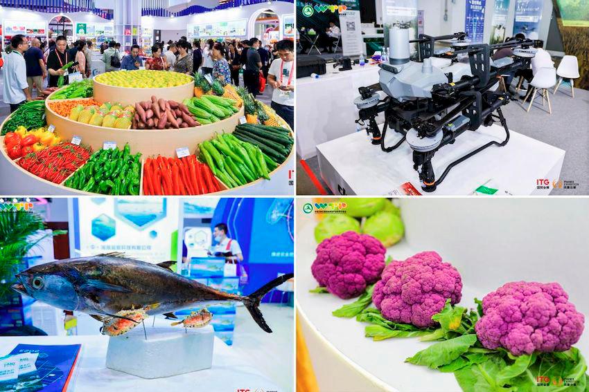 Over 2,000 Enterprises Worldwide Join China (Hainan) International Trade Fair for Tropical Agricultural Products Over 2,000 Enterprises Worldwide Join China (Hainan) International Trade Fair for Tropical Agricultural Products