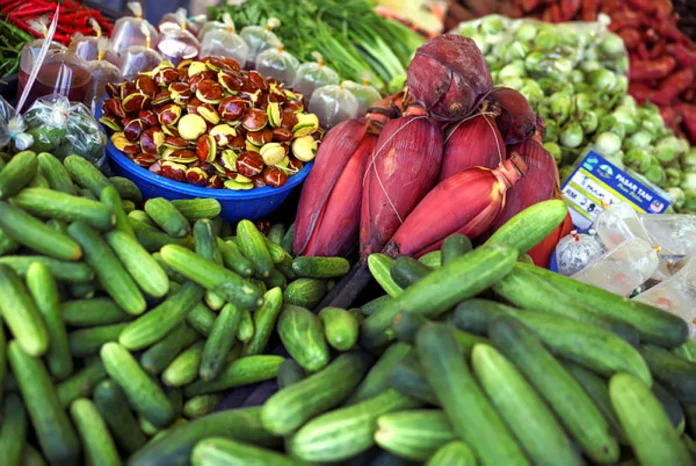 PH03_31012026_AGRO3_t697d971e_m600_xc804ad9d KL MADANI CARNIVAL BRINGS GOVERNMENT SERVICES, INITIATIVES CLOSER TO URBAN COMMUNITY