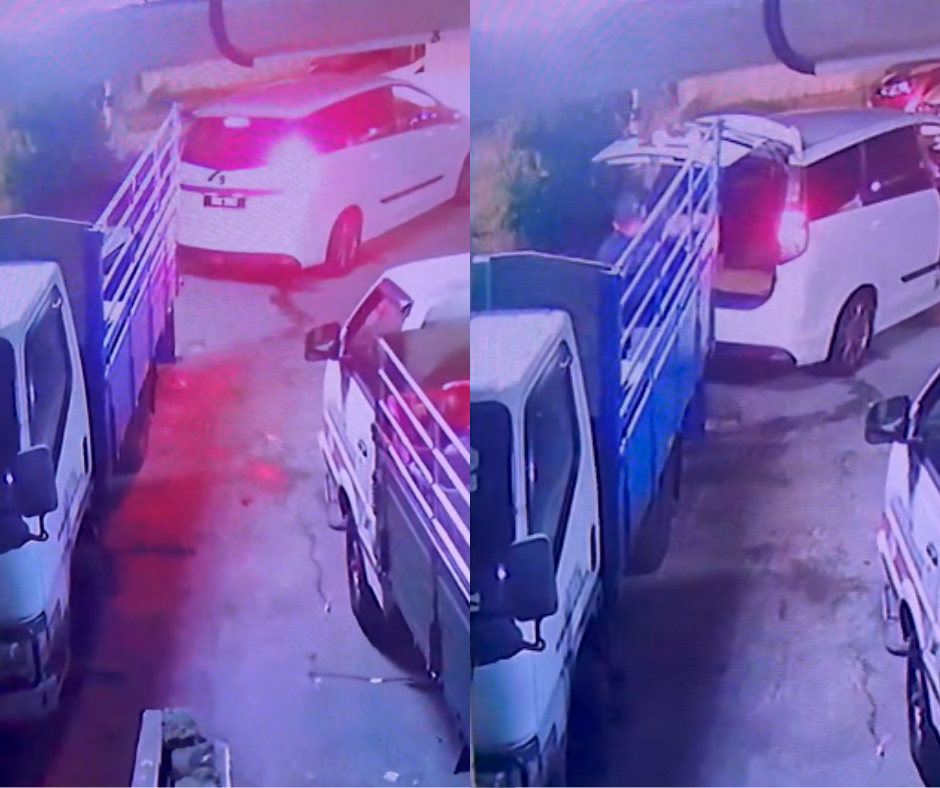 Penang fishmonger alleges rival stole 100kg of grouper fish on CNY midnight heist Penang fishmonger alleges rival stole 100kg of grouper fish on CNY midnight heist
