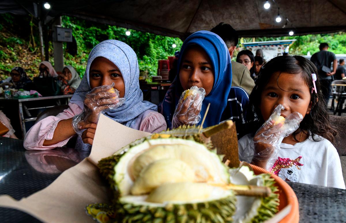 Penang thronged by visitors as durian season coincides with school break Penang thronged by visitors as durian season coincides with school break