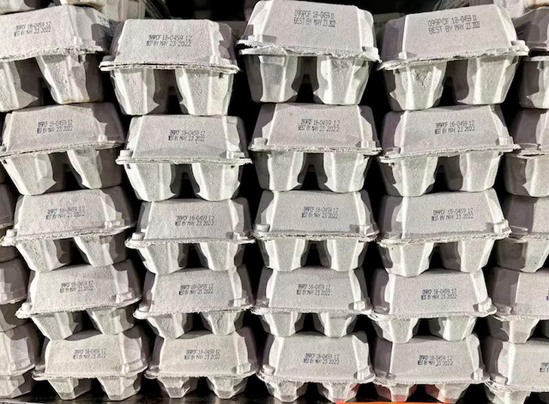 Pennsylvania thieves haul away precious loot: 100,000 eggs Pennsylvania thieves haul away precious loot: 100,000 eggs