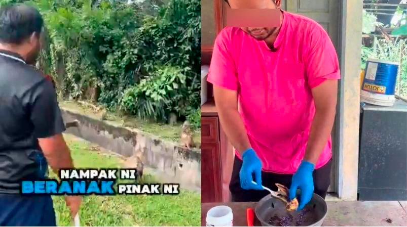 Perhilitan to investigate video of man feeding poison-laced ice cream to endangered macaques Perhilitan to investigate video of man feeding poison-laced ice cream to endangered macaques