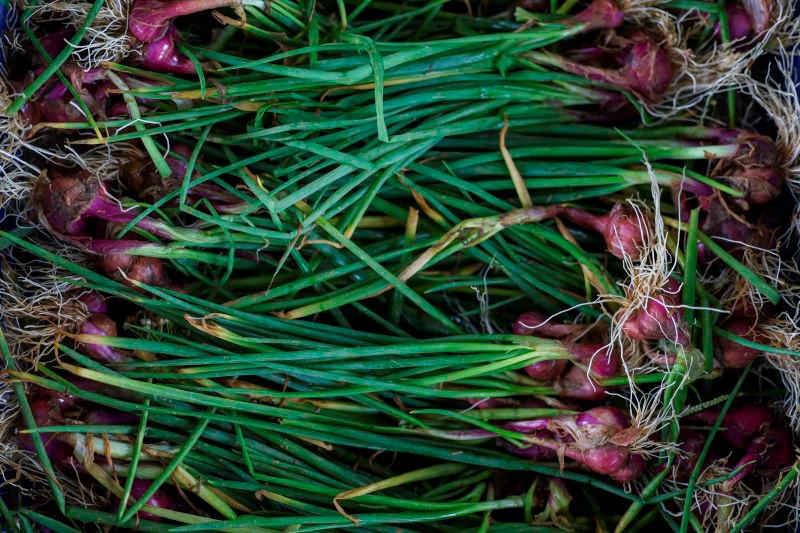 Perlis sasar 10 hektar kawasan penanaman bawang merah dalam tempoh lima tahun