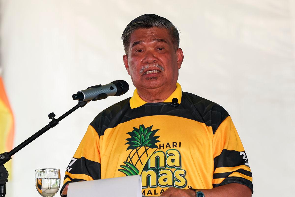 Ploughing and harvesting incentives for farmers by July 31 in Malaysia