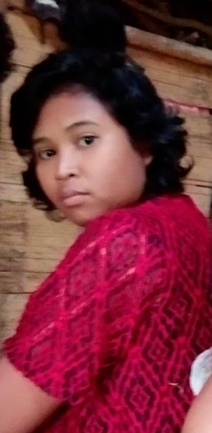Police seek public help to find missing Ipoh woman