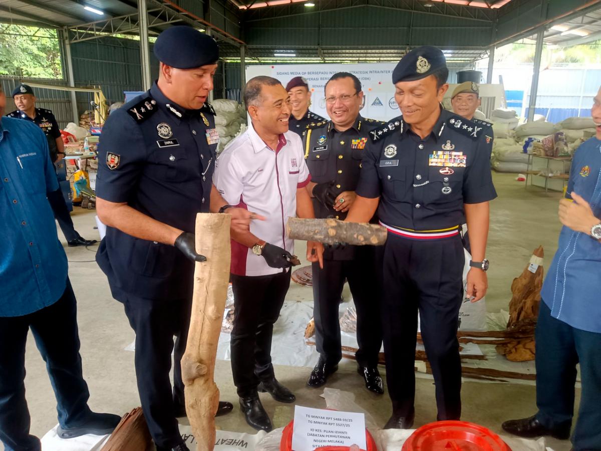 Police seize RM106 million in illegal agarwood and equipment in Melaka Police seize RM106 million in illegal agarwood and equipment in Melaka