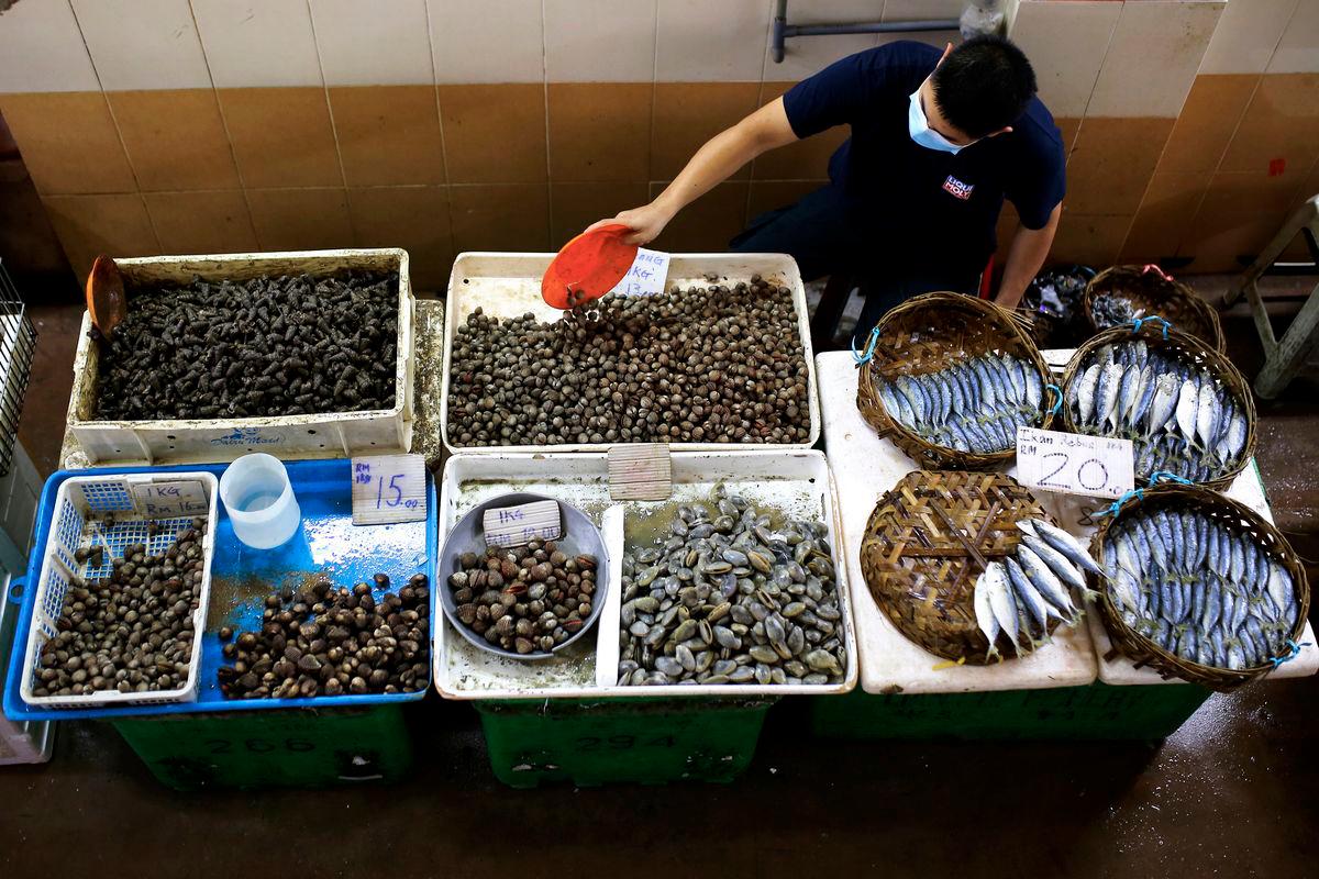 Port Dickson seafood safe to eat, says Negeri Sembilan Fisheries Port Dickson seafood safe to eat, says Negeri Sembilan Fisheries