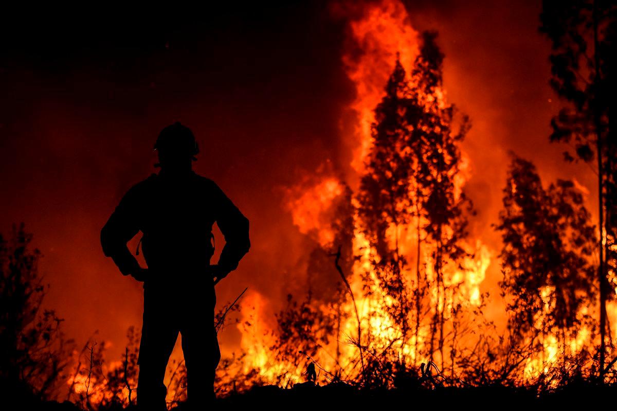Portugal wildfires death toll rises to three as heatwave fuels blazes Portugal wildfires death toll rises to three as heatwave fuels blazes