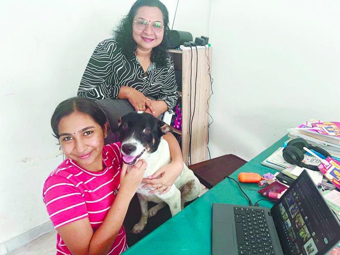 SAM bridges learning gaps