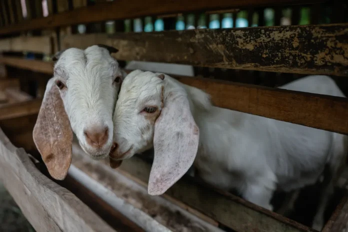 _Sales tax exemption on farm inputs to cut costs, boost food security Sales tax exemption on farm inputs to cut costs, boost food security