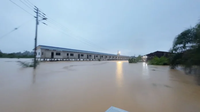 Sarawak floods: 3,000+ evacuated as waters rise