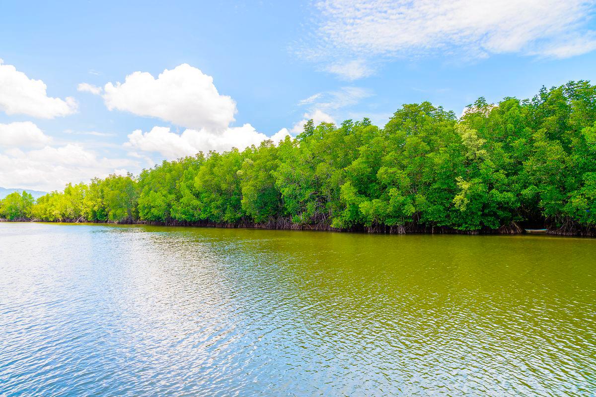 Scientists warn 20% of world’s wetlands could vanish by 2050 Scientists warn 20% of world’s wetlands could vanish by 2050