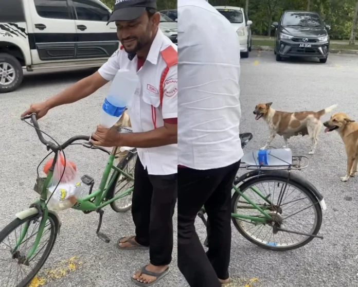 Security_guard_feeds_stray_dogs__M_sian_man_praises_his_kindness Security guard feeds stray dogs, M'sian man praises his kindnessSecurity guard feeds stray dogs, M'sian man praises his kindness