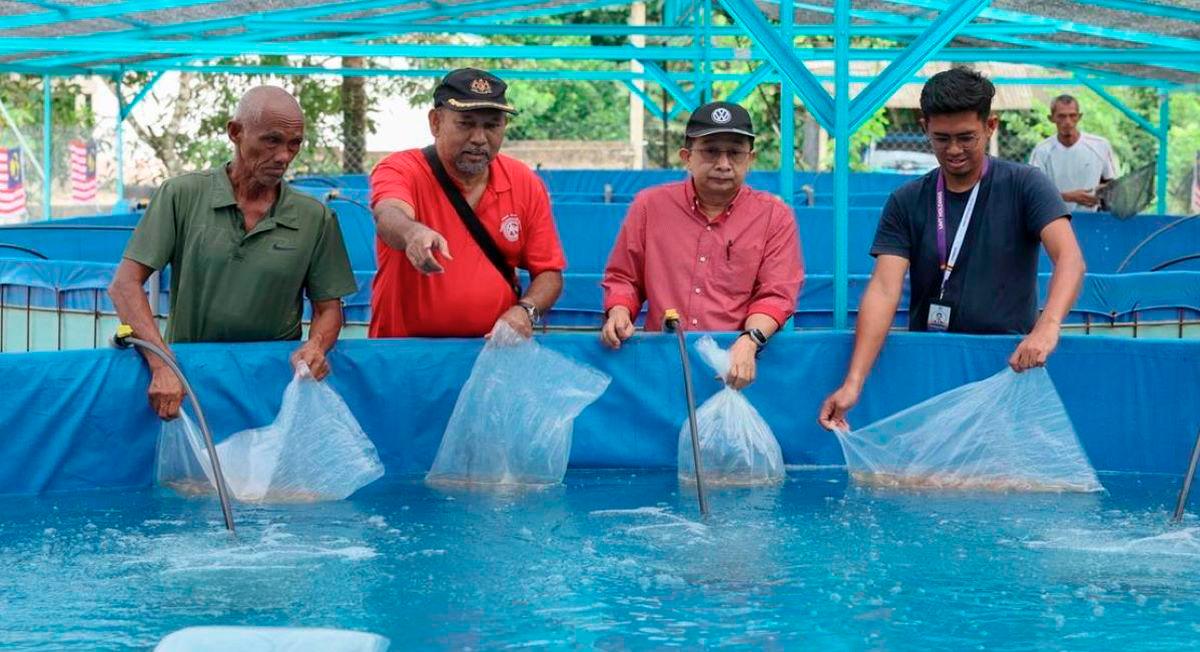 SejaTi MADANI programme boosts Kampung Banggol Kapas with tilapia farming