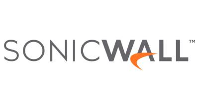SonicWall Partner Focus Drives Key Business Momentum in Transformational Year SonicWall Partner Focus Drives Key Business Momentum in Transformational Year