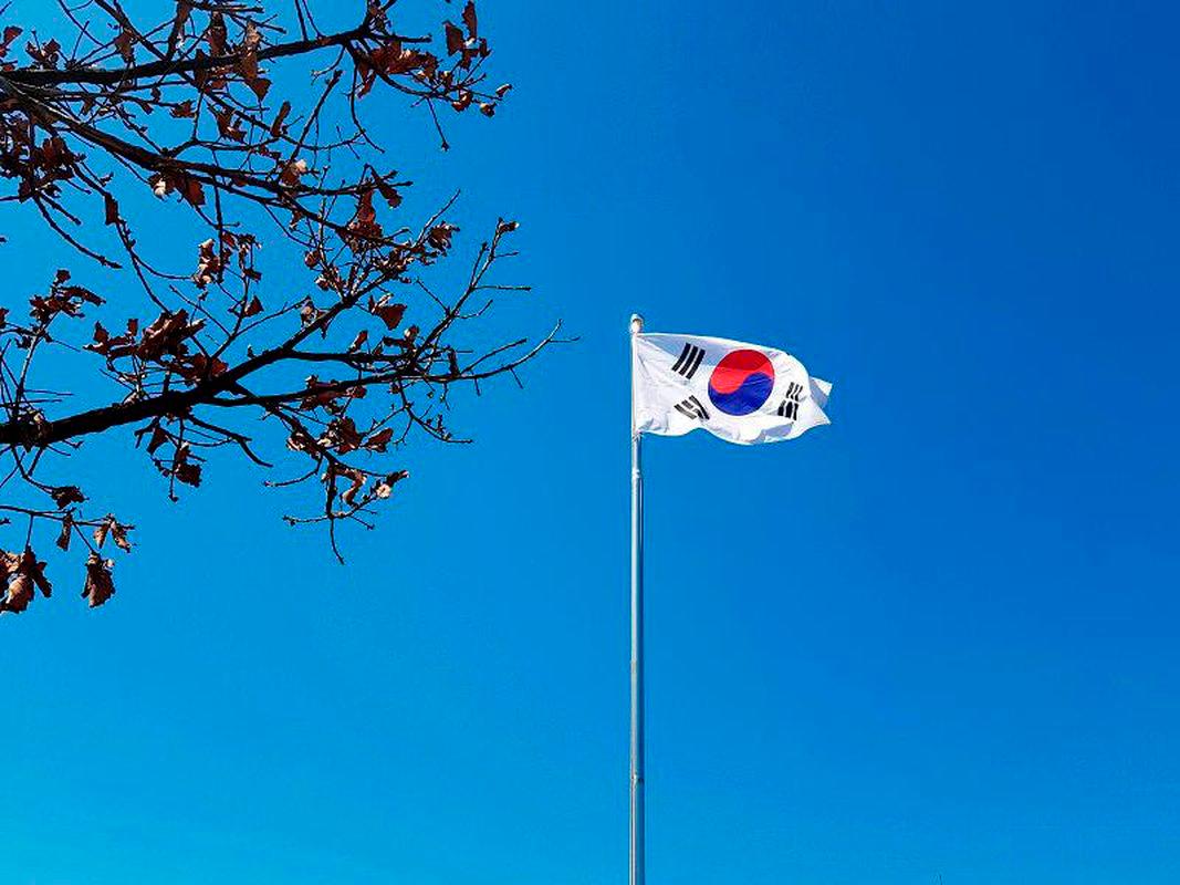 South Korea exports fall as tariffs hit US, China shipments South Korea exports fall as tariffs hit US, China shipments