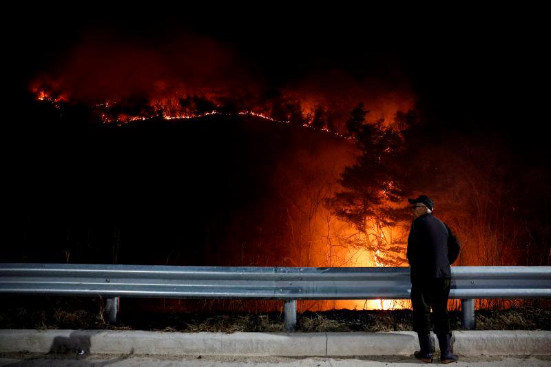South Korea firefighters deploy helicopters as wildfires reignite South Korea firefighters deploy helicopters as wildfires reignite