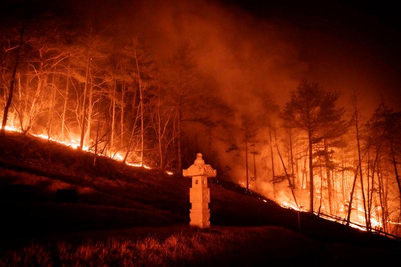 South Korea firefighting helicopter crashes, killing pilot: fire dept South Korea firefighting helicopter crashes, killing pilot: fire dept