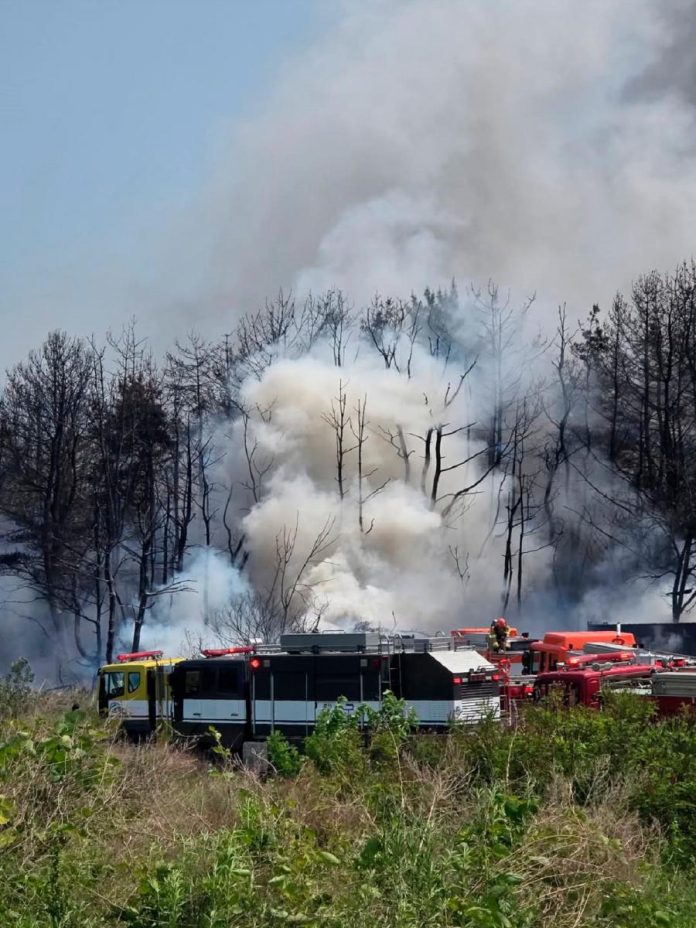 South Korean navy says patrol aircraft carrying four people crashed