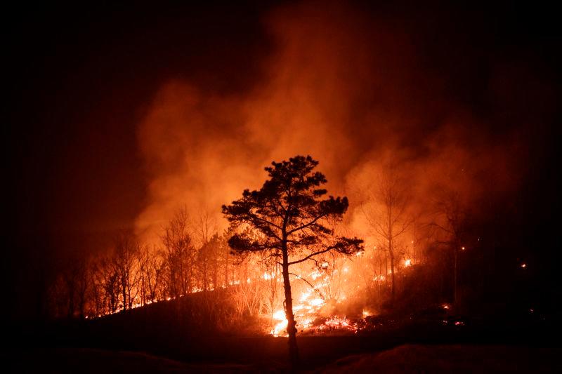 South Korea’s wildfires kill 24, wreak ‘unprecedented damage’ South Korea’s wildfires kill 24, wreak ‘unprecedented damage’