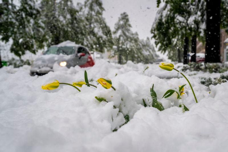 Spring snow storm wreaks deadly havoc in the Alps