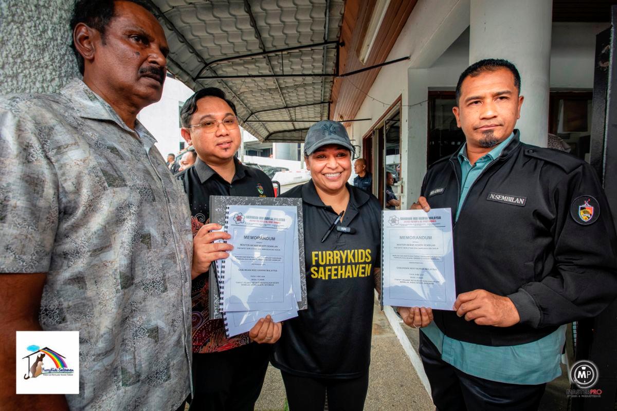 State govt urged to halt the planned culling of stray dogs in Negri Sembilan: Gabungan NGO Haiwan Malaysia State govt urged to halt the planned culling of stray dogs in Negri Sembilan: Gabungan NGO Haiwan Malaysia