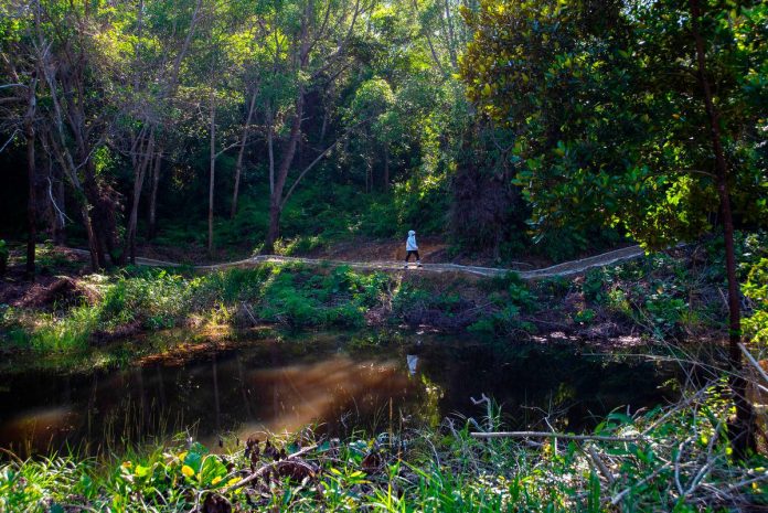 Trek ekologi jadi tarikan baharu di Taman Botani Labuan Trek ekologi jadi tarikan baharu di Taman Botani Labuan