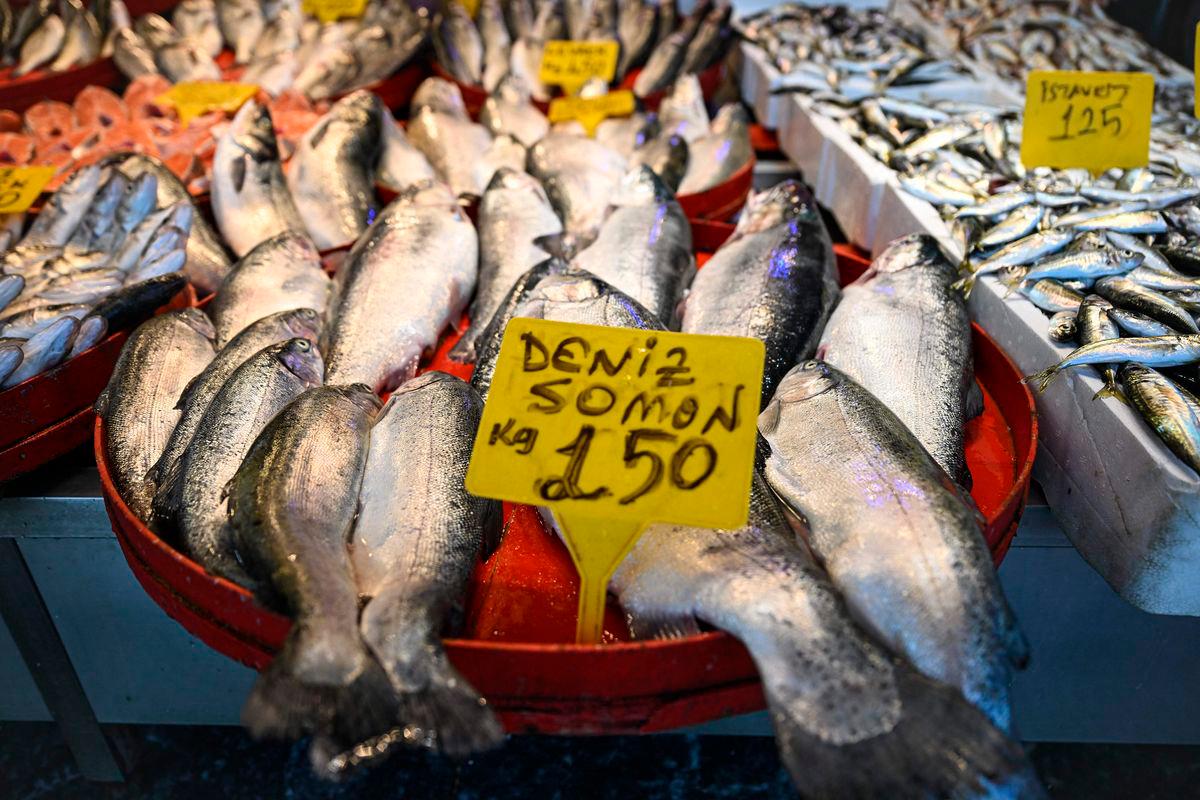 ‘Turkish salmon’: the Black Sea’s new rose-coloured gold ‘Turkish salmon’: the Black Sea’s new rose-coloured gold
