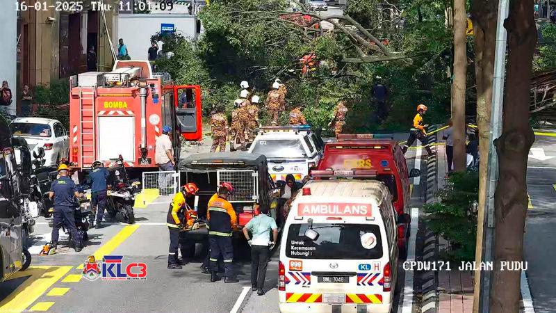 Two injured by falling tree in Jalan Pudu Two injured by falling tree in Jalan Pudu