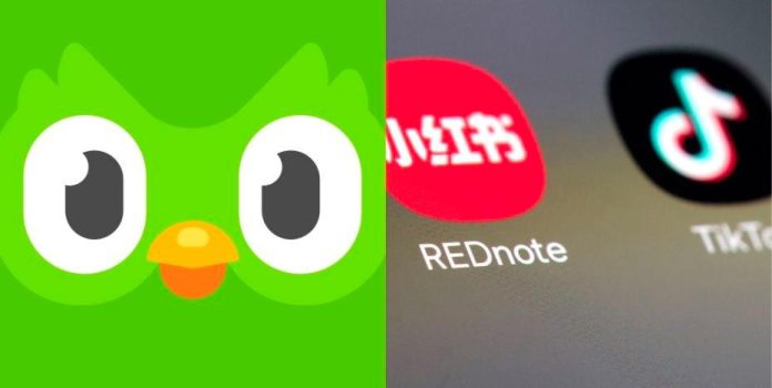 US TikTok ban: Language app Duolingo sees 216% rise in Mandarin learners US TikTok ban: Language app Duolingo sees 216% rise in Mandarin learners
