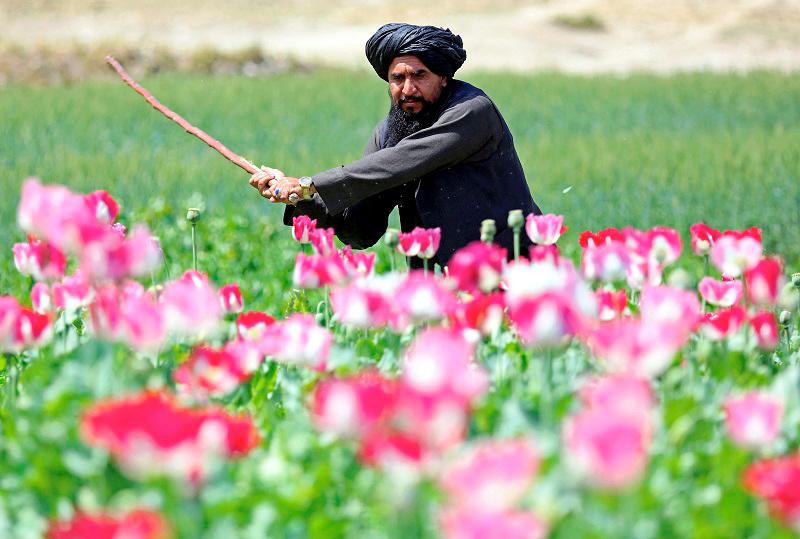 US drops bounties on top Afghan Taliban officials