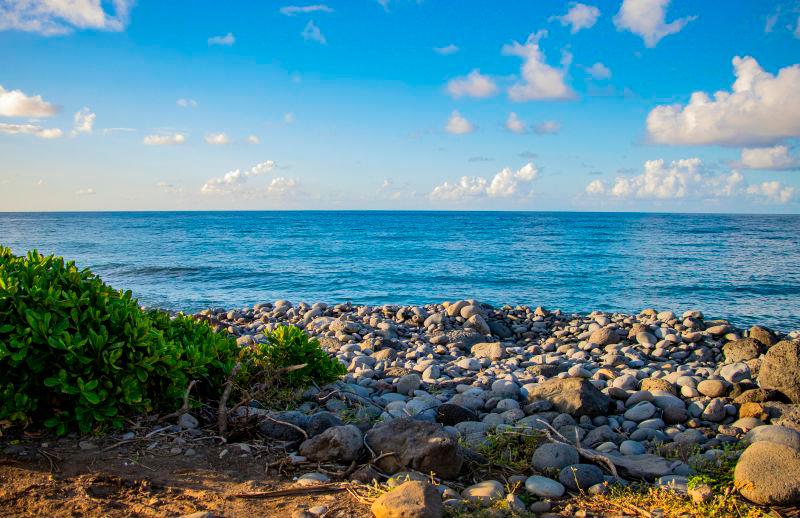 US lowers tariffs on French overseas territories