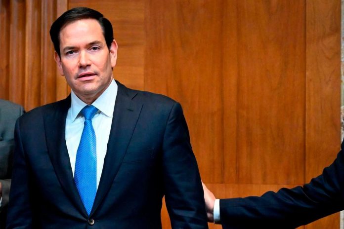 US suspends student visa processing as Trump ramps up social media vetting US suspends student visa processing as Trump ramps up social media vetting