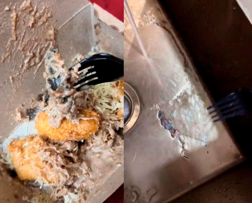 Wanita temui cicak dalam pisang goreng Tiramisu di gerai Pulau Pinang Wanita temui cicak dalam pisang goreng Tiramisu di gerai Pulau Pinang