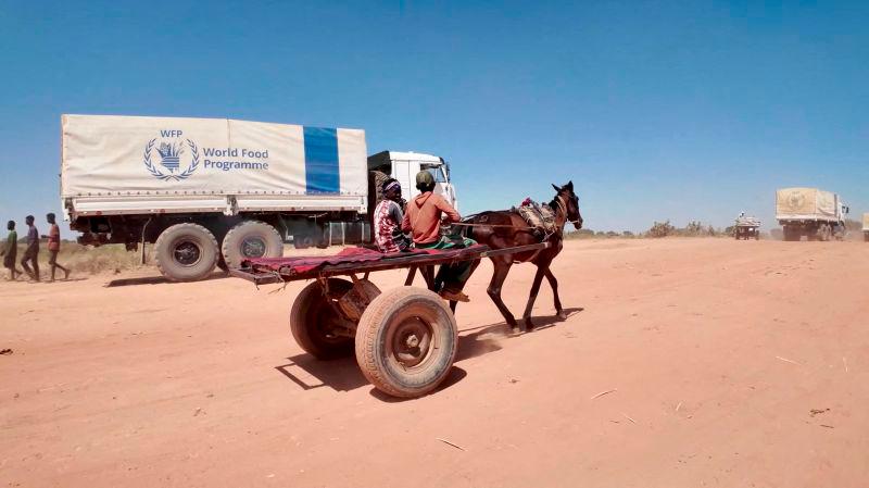 World Food Programme to reduce food support in Sudan due to funding shortages