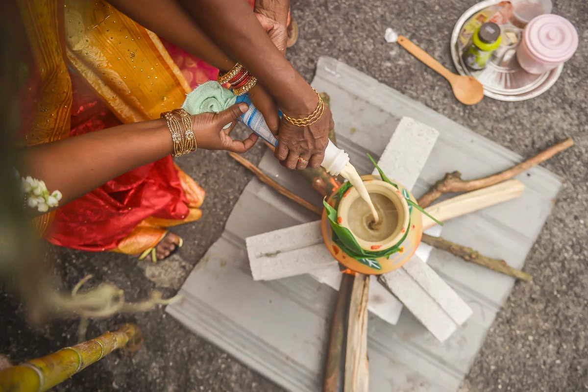 Newly married Hindu couples celebrate Thalai Pongal Newly married Hindu couples celebrate Thalai Pongal