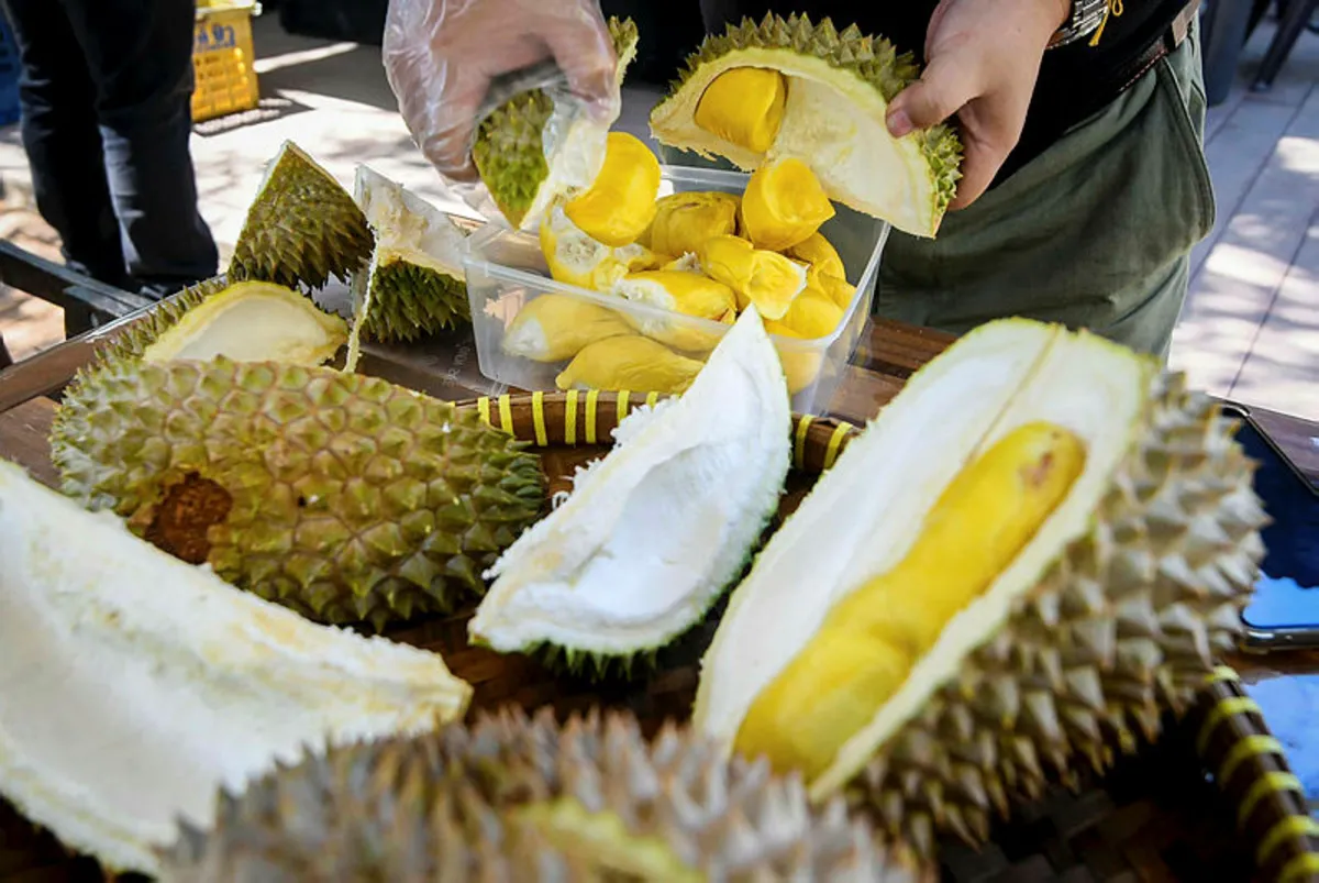 durian Durian klon tidak penuhi piawaian eksport jejas harga, cetus lambakan - FAMA