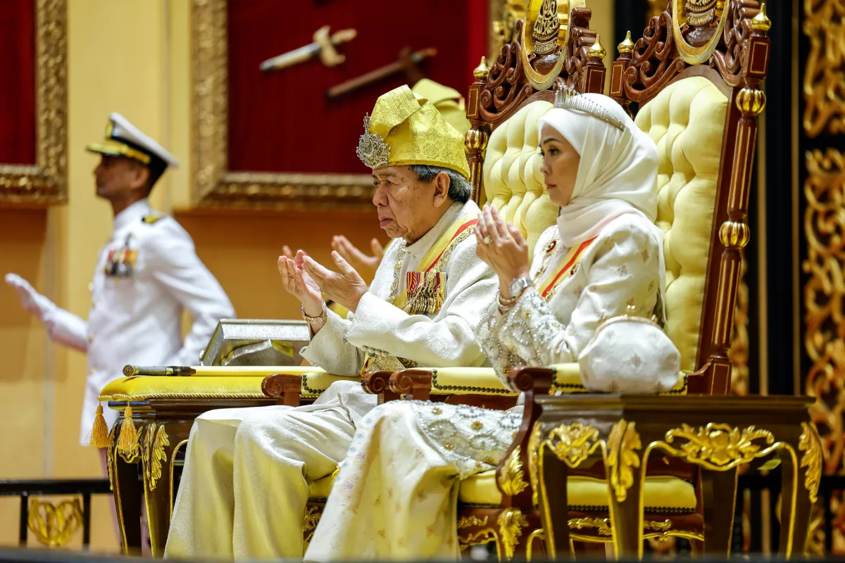 Sultan Selangor tidak setuju penternakan babi besar di Kuala Langat