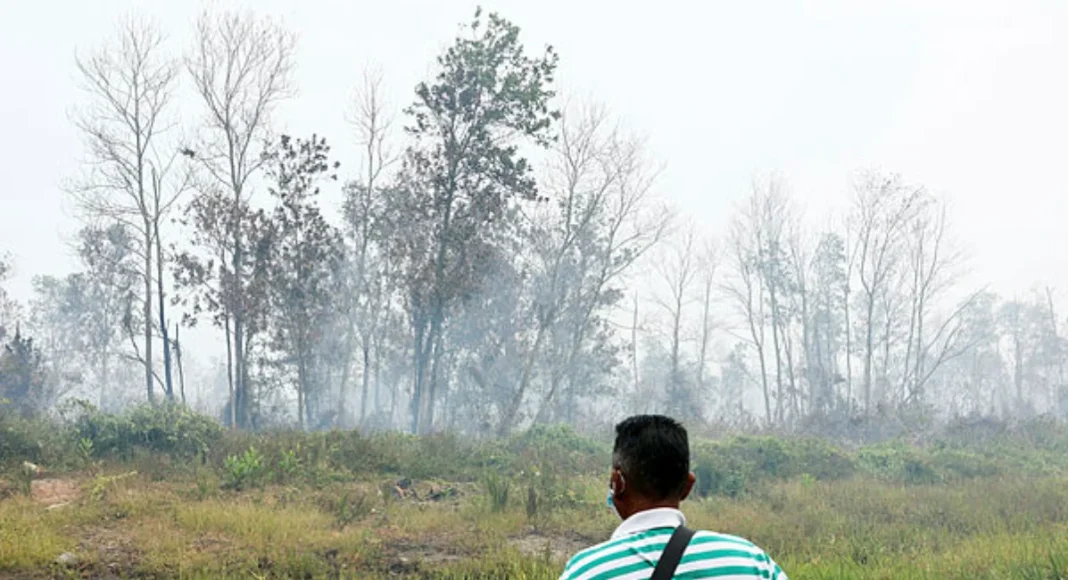 Kebakaran tanah gambut di Kota Tinggi mencecah 99.54 hektar