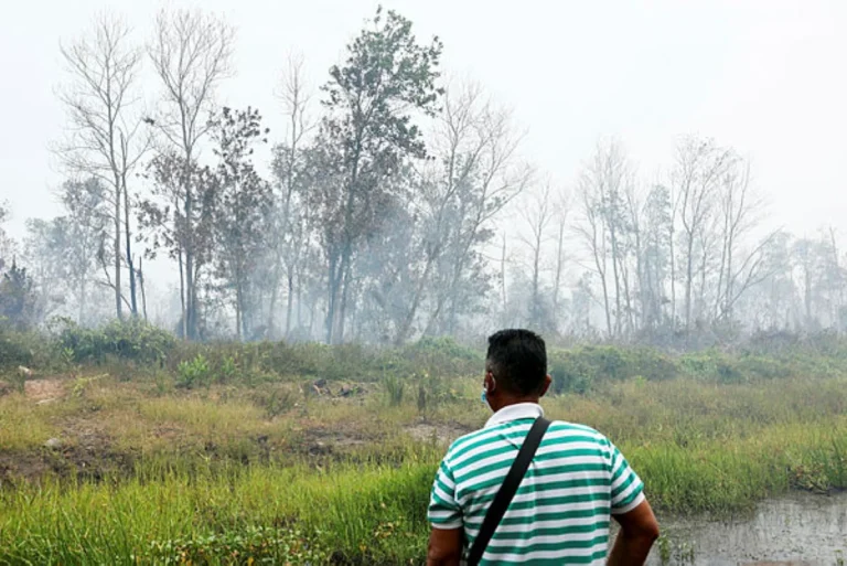 Kebakaran tanah gambut di Kota Tinggi mencecah 99.54 hektar