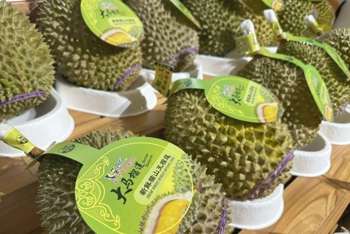 Malaysian durian exporters must preserve quality and branding to compete as Laos enters China market