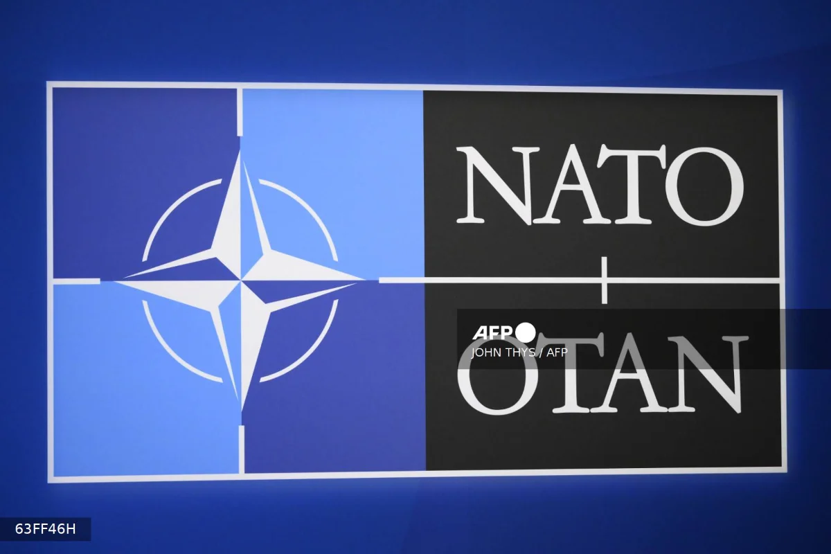 natologo-afp
