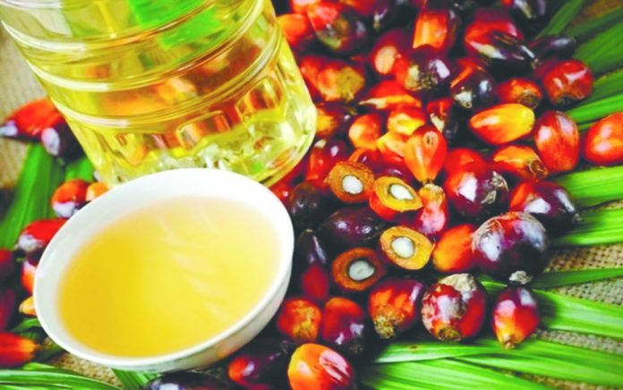 CPO prices seen range-bound at RM4,000–4,300